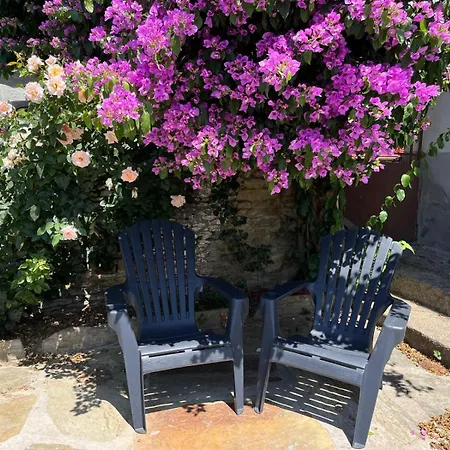 Casa Do Pedro, Quinta Vale De